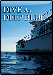 DIVE THE DEEP BLUE