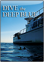 DIVE THE DEEP BLUE